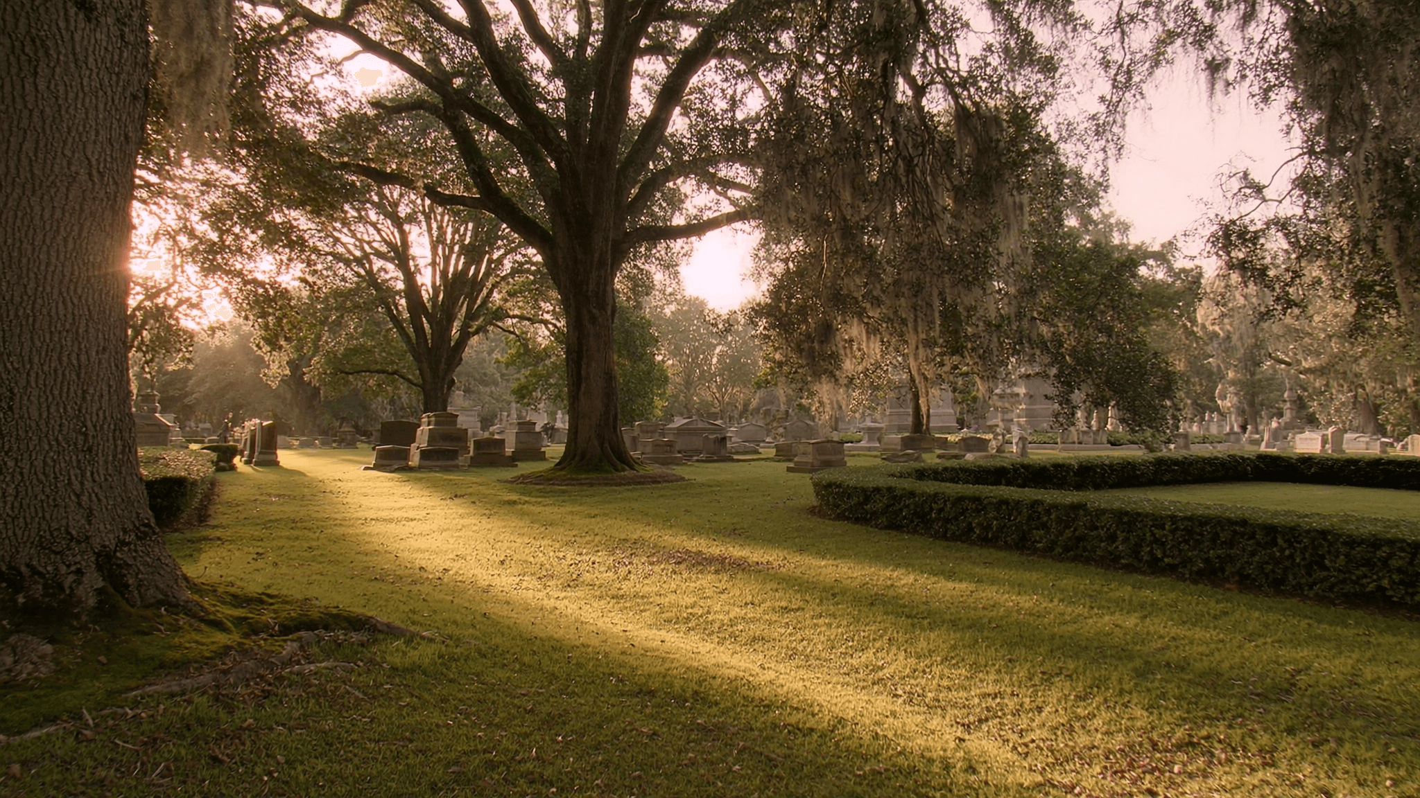 Historic garden cemetery under live oaks at golden hour